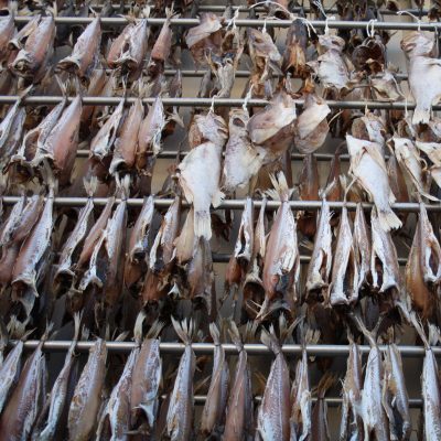 ræstur fiskur fermenteret fisk