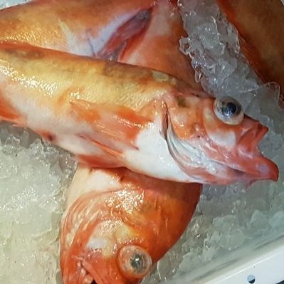 Fisk Rødfisk 2 kg
