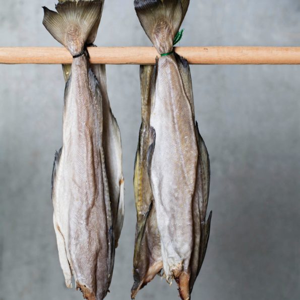Fermenteret fisk fra Færøerne