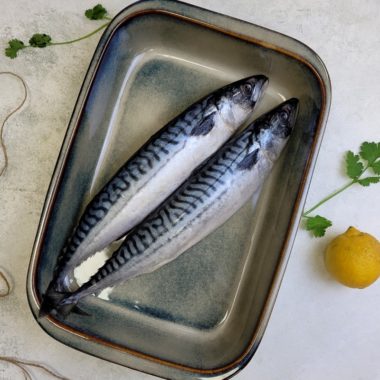 makrel, japan kvalitet, fra færøerne