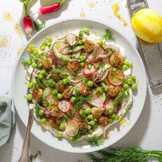 Færøske kammuslinger, pisket ricotta og forårsgrønt