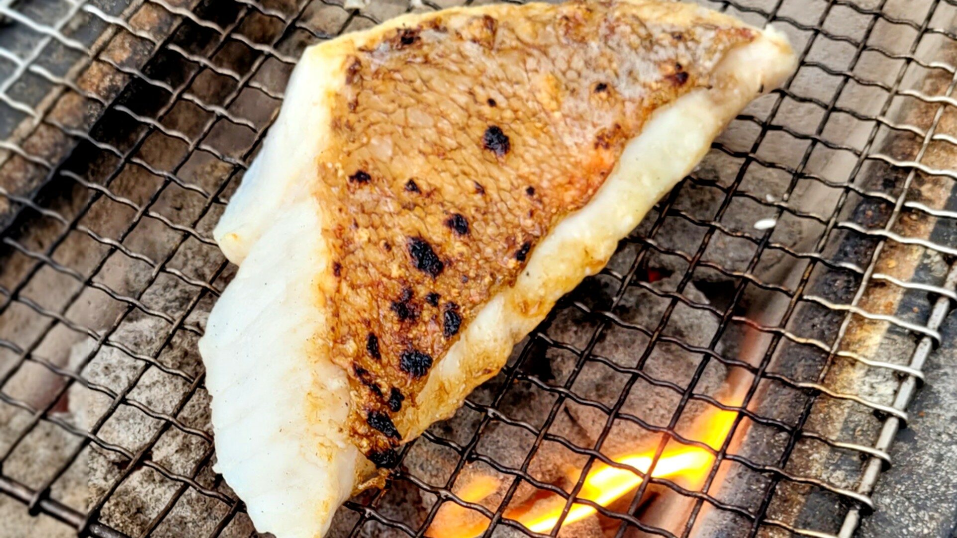 færøsk fisk på grillen - grillet tekst